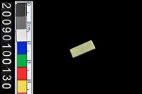 藏品(玉管珠)的圖片