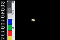 藏品(玉管珠)的圖片