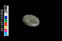 藏品(旋截圓核)的圖片