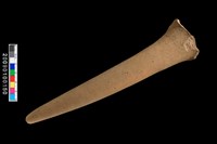 藏品(勺把)的圖片