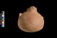 藏品(陶壺)的圖片