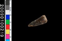 藏品(不明動物牙齒化石)的圖片