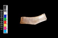 藏品(牙飾)的圖片