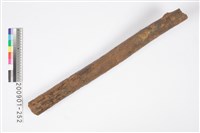 藏品(象牙化石)的圖片