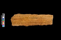 藏品(鱷魚骨殘件)的圖片