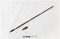 藏品(矛)的圖片