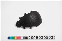 藏品(椰殼匙)的圖片