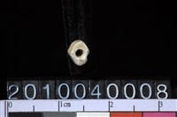 藏品(玉管珠)的圖片