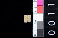 藏品(玉管珠)的圖片