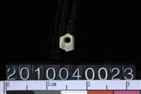 藏品(玉管珠)的圖片