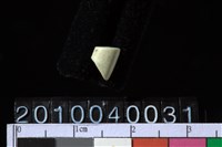 藏品(玉管珠)的圖片