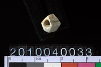 藏品(玉管珠)的圖片