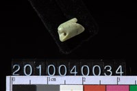 藏品(玉管珠)的圖片