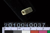 藏品(玉管珠)的圖片