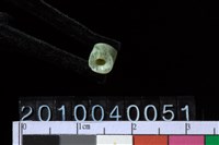 藏品(玉管珠)的圖片