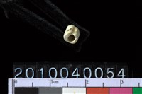 藏品(玉管珠)的圖片