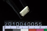 藏品(玉管珠)的圖片