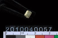 藏品(玉管珠)的圖片