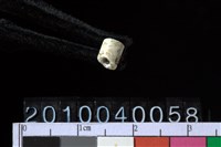 藏品(玉管珠)的圖片