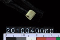 藏品(玉管珠)的圖片