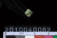 藏品(玉管珠)的圖片