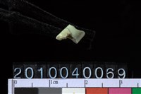 藏品(玉管珠)的圖片