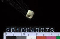 藏品(玉管珠)的圖片