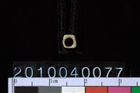 藏品(玉管珠)的圖片