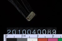 藏品(玉管珠)的圖片