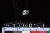 藏品(玉管珠)的圖片