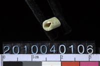 藏品(玉管珠)的圖片