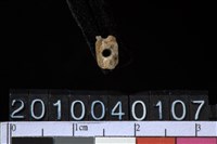 藏品(玉管珠)的圖片