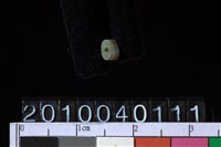 藏品(玉管珠)的圖片