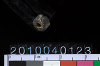 藏品(陶管珠)的圖片