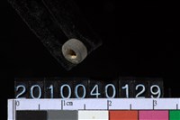 藏品(陶管珠)的圖片