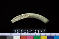 藏品(玦形耳飾)的圖片