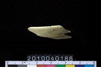 藏品(玉環)的圖片