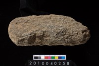 藏品(石斧)的圖片