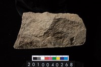 藏品(石斧)的圖片