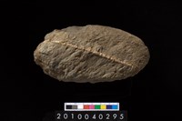 藏品(石斧)的圖片