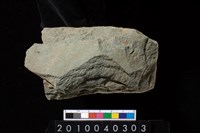 藏品(石斧)的圖片