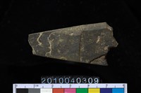 藏品(矛鏃)的圖片