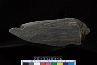 藏品(矛鏃)的圖片