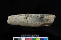 藏品(矛鏃)的圖片