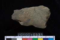 藏品(矛鏃)的圖片