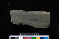 藏品(矛鏃)的圖片