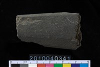 藏品(矛鏃)的圖片