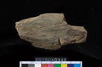 藏品(矛鏃)的圖片