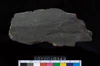 藏品(矛鏃)的圖片