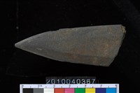 藏品(矛鏃)的圖片